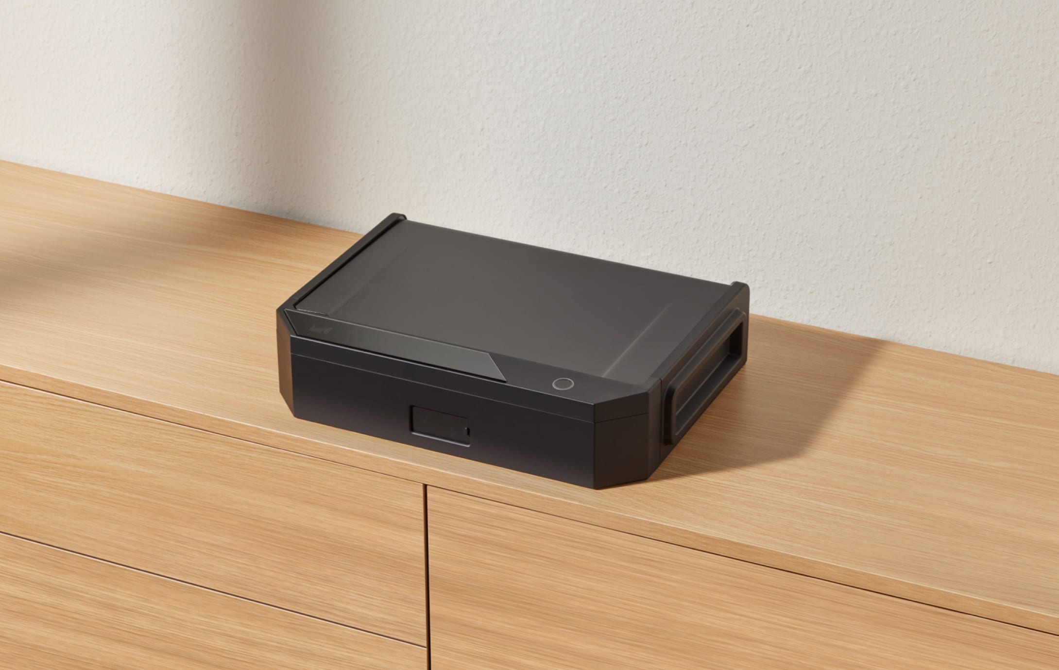 Case Safe in Black