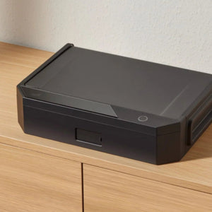 <p>Portable Safes </p>