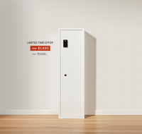 Mycube Max